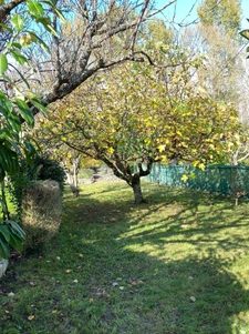 Maison d'exception ! L'esprit d'autrefois au service du conf