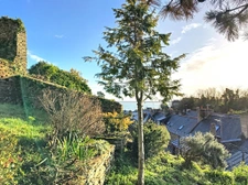  Maison pierres et ardoises, terrasse et jardin vue mer