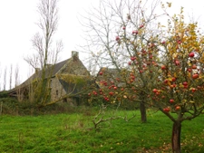 Magnifique longère XIXe siècle à rénover