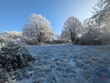 Terrain 1,5 ha avec ancienne maison en pierre à réhabiliter 