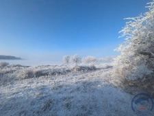 Terrain 1,5 ha avec ancienne maison en pierre à réhabiliter 