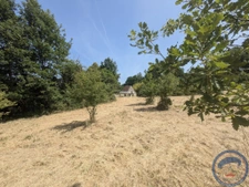 Terrain 1,5 ha avec ancienne maison en pierre à réhabiliter 