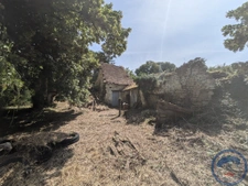 Terrain 1,5 ha avec ancienne maison en pierre à réhabiliter 
