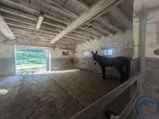 Longère avec piscine au calme à la campagne - Idéal pour pro