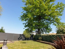 Pleine de charme à 15 minutes de NANTES!