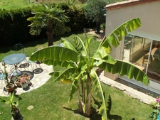 Maison avec dépendances Années 80