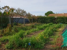 Terrain constructible à pieds des commodités.