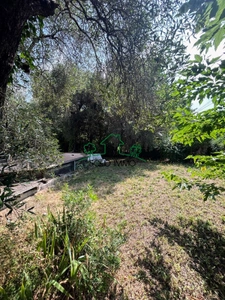 Maison de campagne avec beau terrain