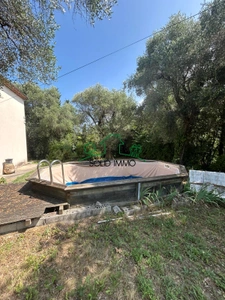 Maison de campagne avec beau terrain