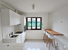 Appartement 51 m2 Carrez (80 m2 au sol) avec Terrasse & Fort