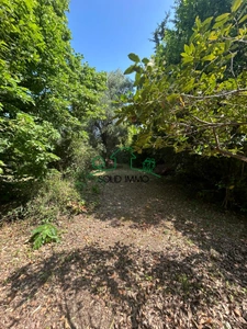 Maison de campagne avec beau terrain