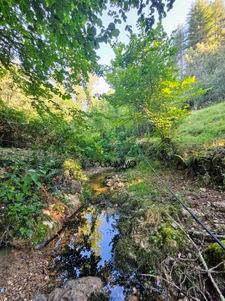Charmante maison avec piscine dans un écrin de verdure 