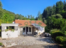 Charmante maison avec piscine dans un écrin de verdure 