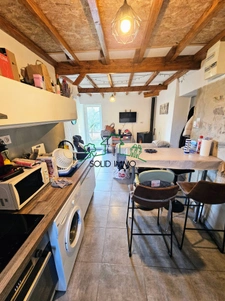 Maison entièrement rénovée avec trois appartements 