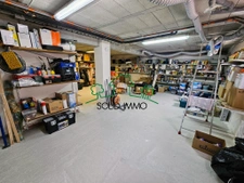 Maison contemporaine avec piscine et jardin arboré