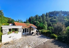 Charmante maison avec piscine dans un écrin de verdure 