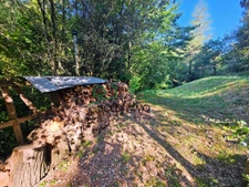 Charmante maison avec piscine dans un écrin de verdure 