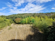 Propriété de charme de 151 m2 habitables   Les Assions 