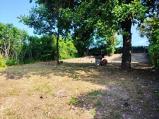 Maison de caractère en campagne avec cave exceptionnelle