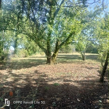 Maison de plain pied