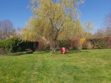  plain pied 3ch grand terrain