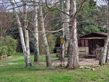 3ch et 1 bureau double garage + étang