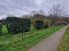 terrain plat 1200m2 Montfort le gesnois