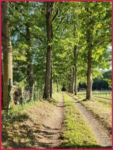 fermette avec travaux et 7000m2 terrain