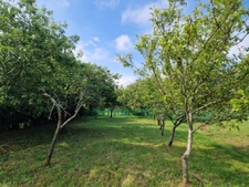 terrain constructible Champagné