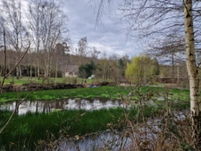 3ch et 1 bureau double garage + étang