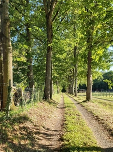 fermette avec travaux et 7000m2 terrain