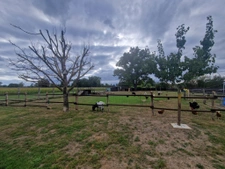 fermette rénovée, grd terrain