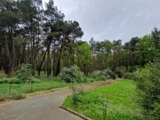 propriété au coeur de la forêt