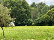 Terrain de Loisirs en bord de rivière