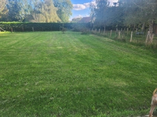 perle rare plain pied 4ch 