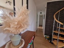 4ch dont 1en rdc avec dressing, grd jardin, au calme