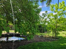 4ch Montfort le Gesnois 2x garage 2000m2 terrain