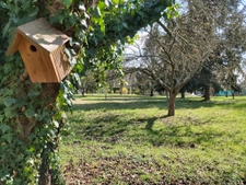 maison artisanale de 170m2 et 6132m2 de terrain, garages