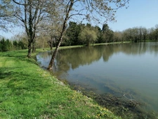  Propriété à Couffé avec 3 ha