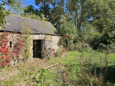Maison de campagne avec dépendances et grand terrain   Teill