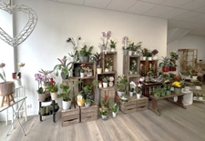 A vendre fond de commerce florissant RIAILLE