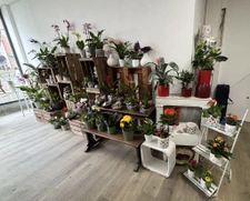 A vendre fond de commerce florissant RIAILLE