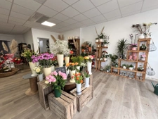 A vendre fond de commerce florissant RIAILLE