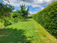 Terrain viabilisé et borné à 5 minutes de Mésanger