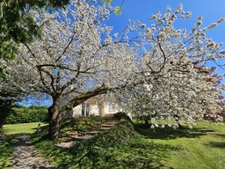 MESANGER MAISON 5 CHAMBRES 