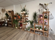 A vendre fond de commerce florissant RIAILLE