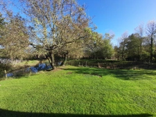  MAUMUSSON  9 pièces 261 m2  maisons 5 chambres  2,4 hectare