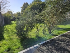 BAISSE DE PRIX Maison de ville 4 chambres RIAILLE