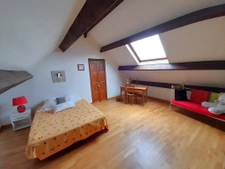  MAUMUSSON  9 pièces 261 m2  maisons 5 chambres  2,4 hectare