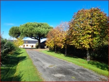  MAUMUSSON  9 pièces 261 m2  maisons 5 chambres  2,4 hectare